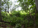 CE_325_1_1222
