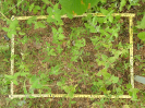 CE_325_1_1226d