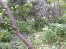 CE_325_2_1227