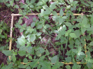 CE_325_3_1234b