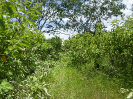 CE_325_4_1237