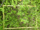 CE_325_4_1239b
