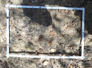 CE_327_3_1672b