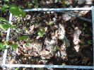 CE_327_4_1675a