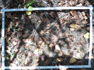 CE_327_4_1676b
