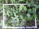 CE_328_1_4876b
