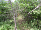 CE_329_3_4849