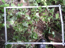 CE_329_3_4850a