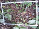 CE_329_3_4851b