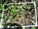 CE_329_4_4855a