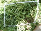 CE_329_4_4857b
