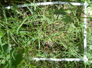 CE_329_4_4859d