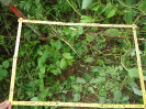 CE_331_4_3704d