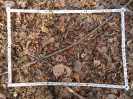 CE_33_1_2829b