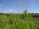 CE_340_0_4105