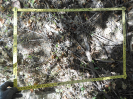 CE_346_3_5581a