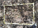 CE_346_4_5588b