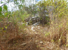 CE_347_3_1568