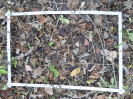 CE_347_3_1571c