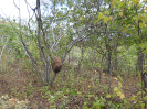 CE_347_4_1573