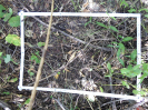 CE_347_4_1577d