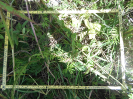 CE_348_3_5359a