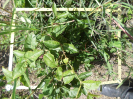 CE_348_3_5360b