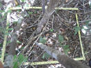 CE_348_4_5367d