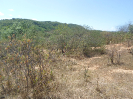 CE_349