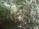 CE_349_3_5250