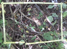 CE_349_3_5252b