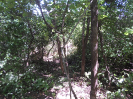 CE_349_4_5255