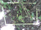 CE_349_4_5256a