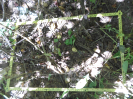 CE_349_4_5257b
