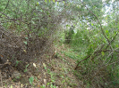 CE_351_4_4164