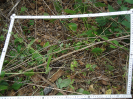 CE_351_4_4166b