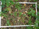 CE_351_4_4168d