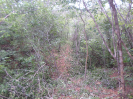 CE_352_3_2547