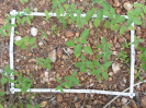 CE_352_4_2565b