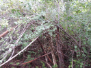 CE_353_0_5021