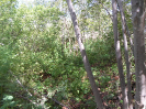 CE_353_3_5037