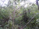 CE_353_4_5038
