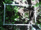 CE_353_4_5041c