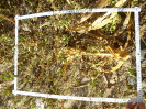 CE_355_1_1600d