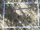 CE_355_2_1592a