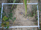 CE_355_2_1595d