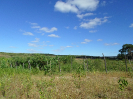 CE_355_3_1586
