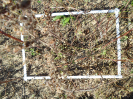 CE_355_3_1587a