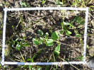CE_355_3_1590d