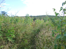 CE_355_4_1602